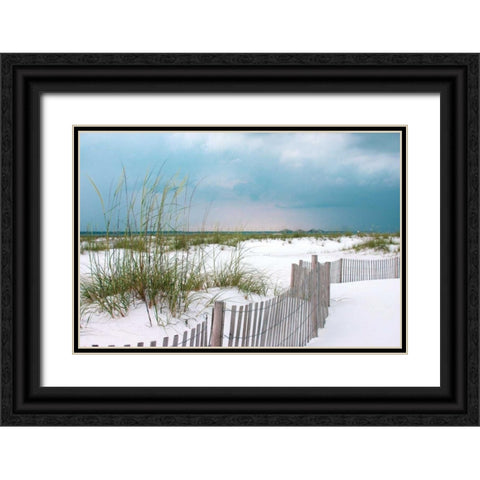 Sunset Isle II Black Ornate Wood Framed Art Print with Double Matting by Delimont, Danita
