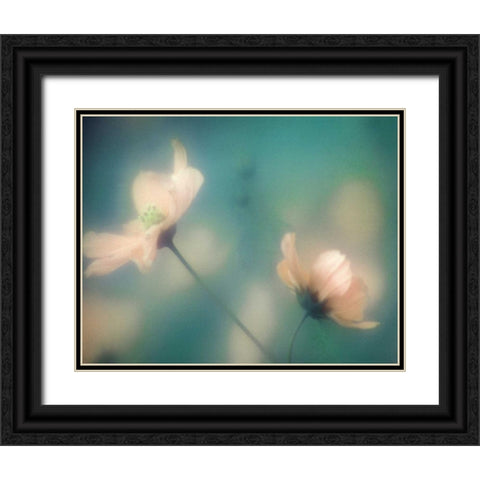 Blush Moment Black Ornate Wood Framed Art Print with Double Matting by Delimont, Danita