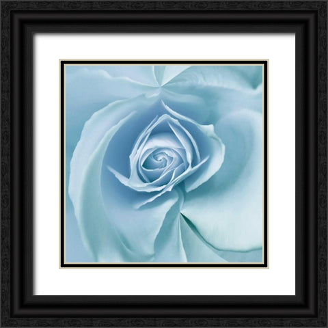 Blue Embrace Black Ornate Wood Framed Art Print with Double Matting by Delimont, Danita