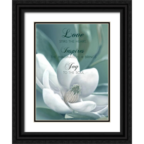 Joy To The Soul Black Ornate Wood Framed Art Print with Double Matting by Delimont, Danita