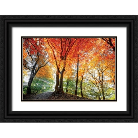 Prism of Light Black Ornate Wood Framed Art Print with Double Matting by Van de Goor, Lars