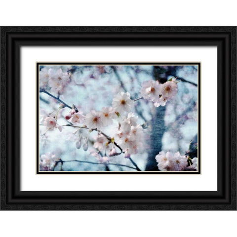 Flowering Joy Black Ornate Wood Framed Art Print with Double Matting by Weisz, Irene