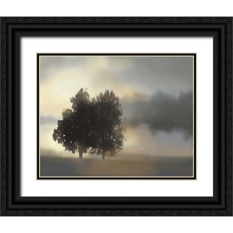 Misty Morning Black Ornate Wood Framed Art Print with Double Matting by Nan