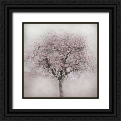 Blossoms of Spring IV Black Ornate Wood Framed Art Print with Double Matting by Weisz, Irene