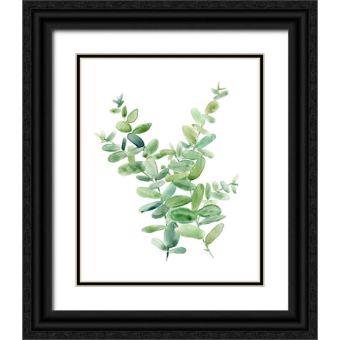 Eucalyptus III Black Ornate Wood Framed Art Print with Double Matting by Robinson, Carol