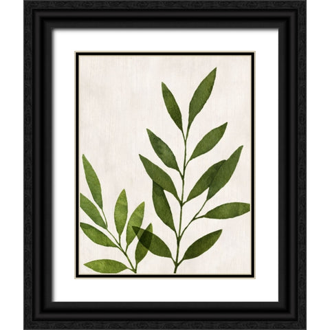 Botanical Wash IV Black Ornate Wood Framed Art Print with Double Matting by Knutsen, Conrad