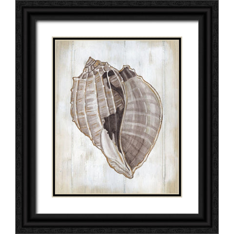 Ocean Cone II Black Ornate Wood Framed Art Print with Double Matting by Robinson, Carol