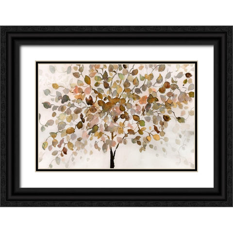 Natures Gift Black Ornate Wood Framed Art Print with Double Matting by Troise Heidel, Theresa
