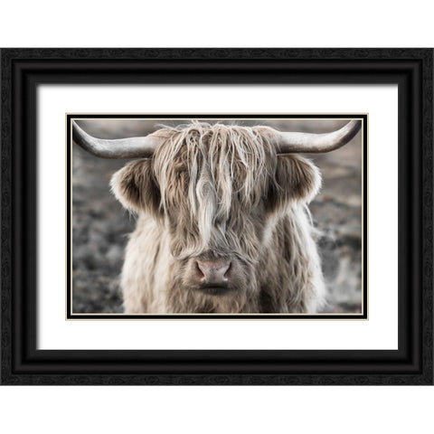 Highland Skye Black Ornate Wood Framed Art Print with Double Matting by Delimont, Danita