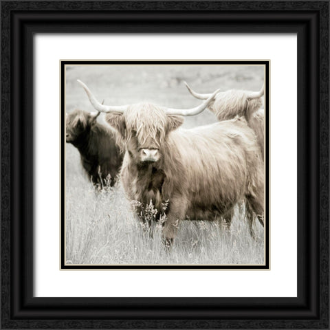 Highland Gathering Black Ornate Wood Framed Art Print with Double Matting by Delimont, Danita
