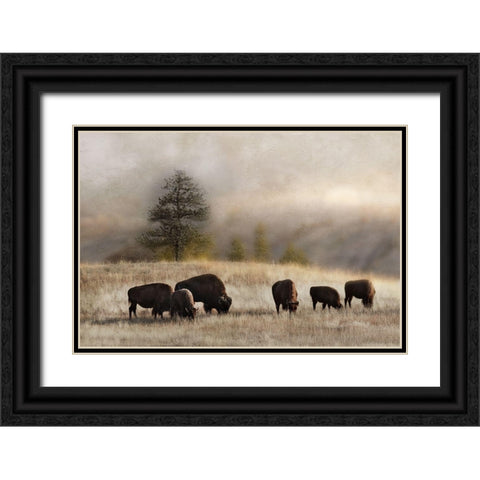 Ridge Grazing Black Ornate Wood Framed Art Print with Double Matting by Delimont, Danita