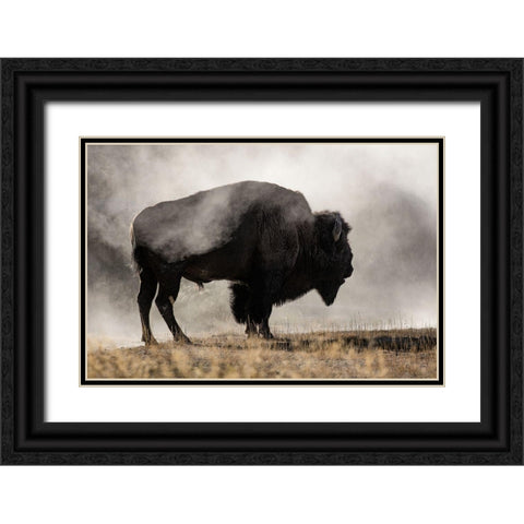 Geyser Basin Black Ornate Wood Framed Art Print with Double Matting by Delimont, Danita