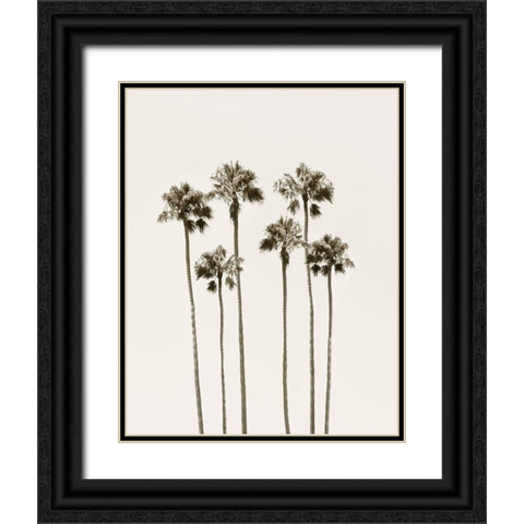 Palm Getaway Black Ornate Wood Framed Art Print with Double Matting by Carpentieri, Natalie