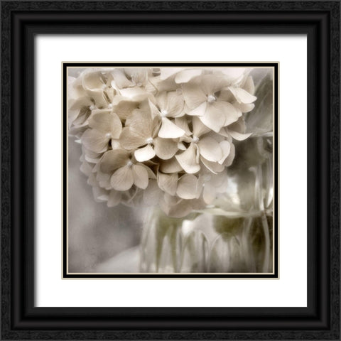 Sugar Hydrangea II Black Ornate Wood Framed Art Print with Double Matting by Weisz, Irene