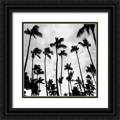 Palm Skies Black Ornate Wood Framed Art Print with Double Matting by Carpentieri, Natalie