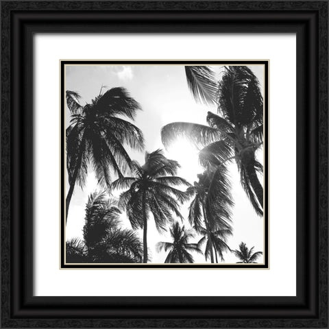 Caribbean Palms Black Ornate Wood Framed Art Print with Double Matting by Carpentieri, Natalie