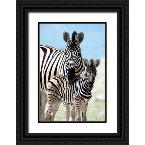 Family of Namibia Black Ornate Wood Framed Art Print with Double Matting by Delimont, Danita