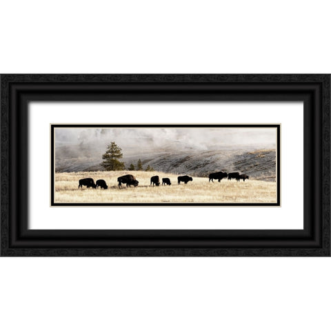 Heading Home Black Ornate Wood Framed Art Print with Double Matting by Delimont, Danita