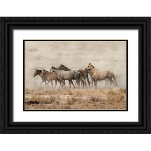 Roaming Free Black Ornate Wood Framed Art Print with Double Matting by Delimont, Danita
