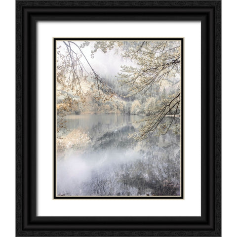 Misty Lake Black Ornate Wood Framed Art Print with Double Matting by Weisz, Irene