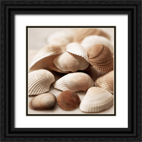 Beach Treasures I Black Ornate Wood Framed Art Print with Double Matting by Carpentieri, Natalie