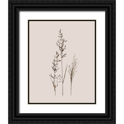 Delicate Stems I Black Ornate Wood Framed Art Print with Double Matting by Robinson, Carol