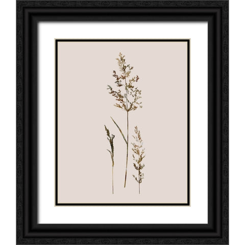 Delicate Stems II Black Ornate Wood Framed Art Print with Double Matting by Robinson, Carol