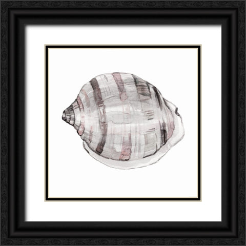 Blush Shell I Black Ornate Wood Framed Art Print with Double Matting by Robinson, Carol