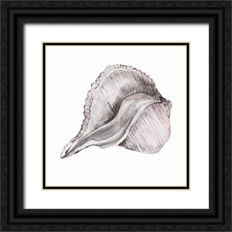 Blush Shell II Black Ornate Wood Framed Art Print with Double Matting by Robinson, Carol