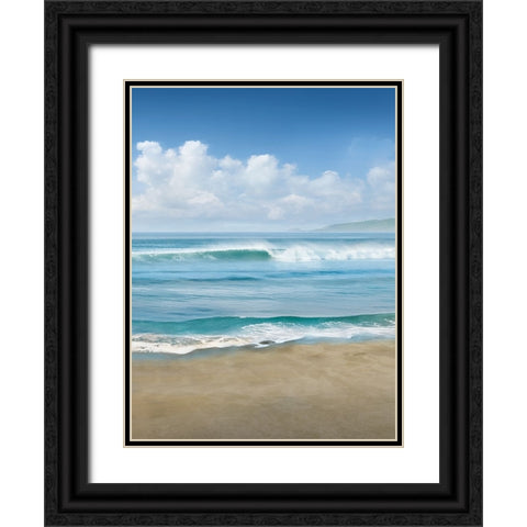 Timeless Waves Black Ornate Wood Framed Art Print with Double Matting by Calascibetta, Mike