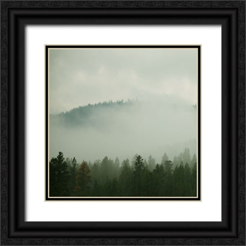 Verdant Country I Black Ornate Wood Framed Art Print with Double Matting by Robinson, Carol