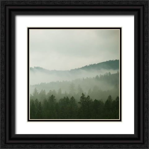 Verdant Country II Black Ornate Wood Framed Art Print with Double Matting by Robinson, Carol