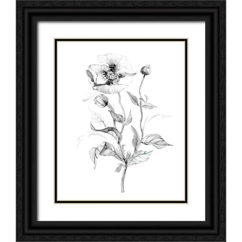 Wild Poppy Black Ornate Wood Framed Art Print with Double Matting by Robinson, Carol