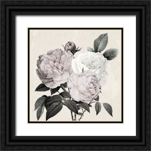 Botanical Arrangement II Black Ornate Wood Framed Art Print with Double Matting by Donovan, Kelly
