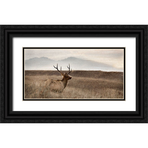 Now You See Me Black Ornate Wood Framed Art Print with Double Matting by Delimont, Danita