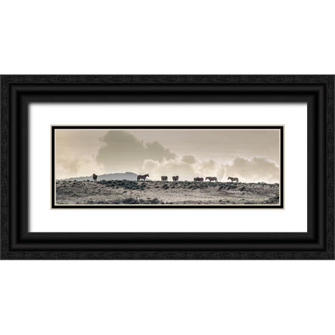 Wild Horse Ridge Black Ornate Wood Framed Art Print with Double Matting by Delimont, Danita