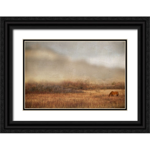 Grazing at Sunset Black Ornate Wood Framed Art Print with Double Matting by Delimont, Danita