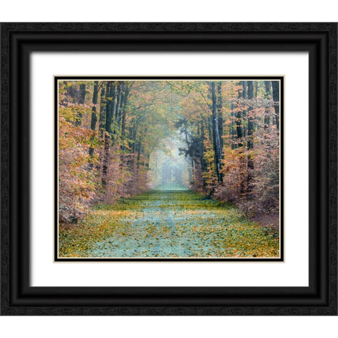 Enchanted Path Black Ornate Wood Framed Art Print with Double Matting by Delimont, Danita