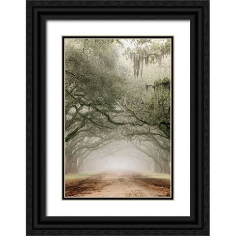 Plantation Drive Black Ornate Wood Framed Art Print with Double Matting by Delimont, Danita