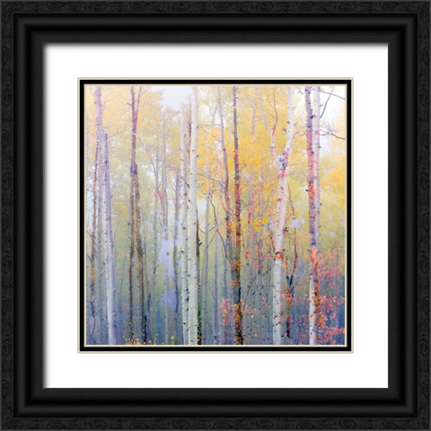 Foggy Aspen Black Ornate Wood Framed Art Print with Double Matting by Delimont, Danita
