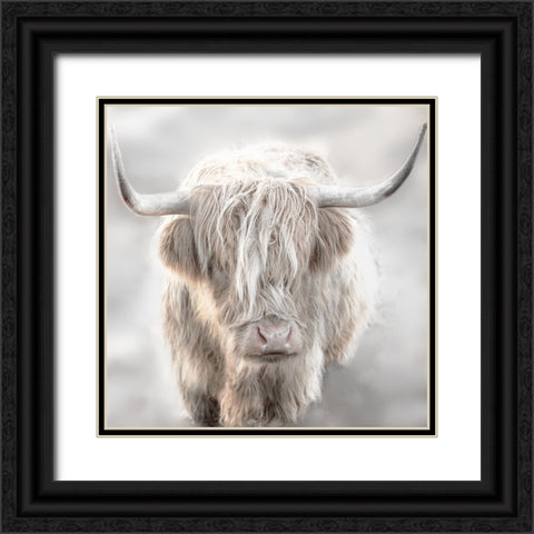 Soft Solo Highland Black Ornate Wood Framed Art Print with Double Matting by Delimont, Danita