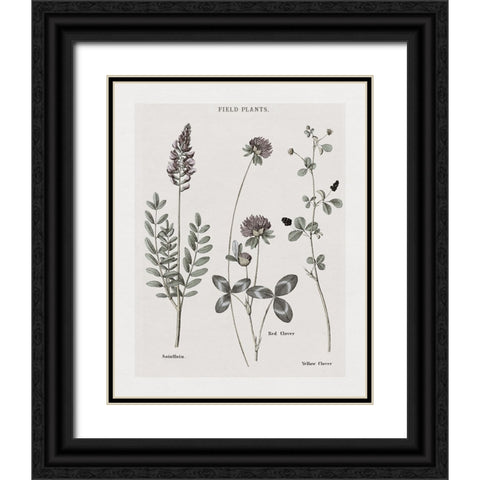 Multi Botanical II Black Ornate Wood Framed Art Print with Double Matting by Donovan, Kelly