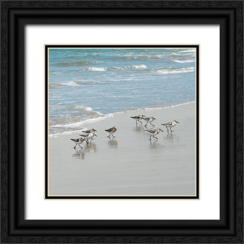 Sandpiper Shore I Black Ornate Wood Framed Art Print with Double Matting by Carpentieri, Natalie