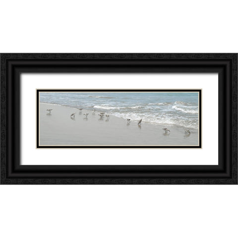 Shorebirds Black Ornate Wood Framed Art Print with Double Matting by Carpentieri, Natalie