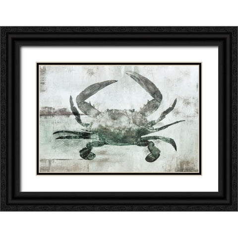 Neutral Crab I Black Ornate Wood Framed Art Print with Double Matting by Nan