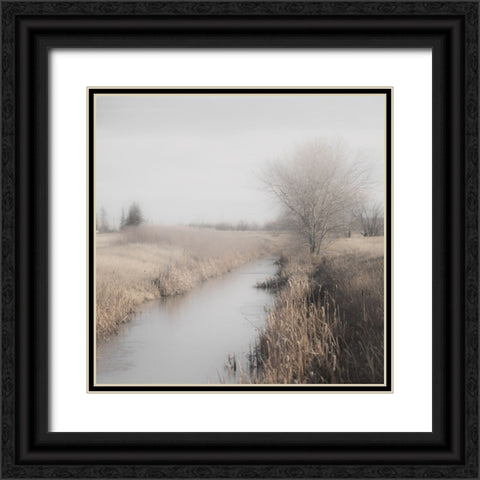 Misty Cattails Black Ornate Wood Framed Art Print with Double Matting by Robinson, Carol