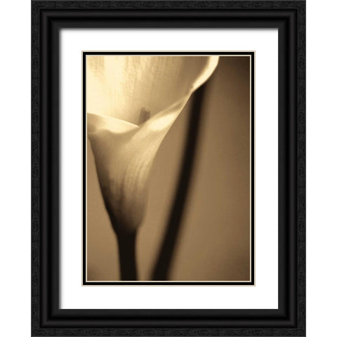 Divinity I Black Ornate Wood Framed Art Print with Double Matting by Ryan, Cinzia