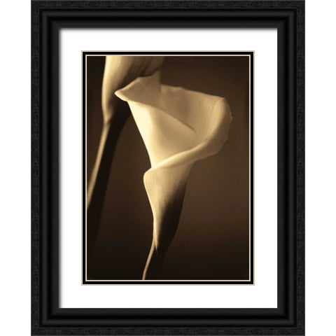 Divinity II Black Ornate Wood Framed Art Print with Double Matting by Ryan, Cinzia