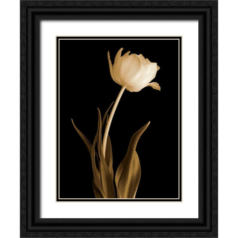 Classic Beauty Black Ornate Wood Framed Art Print with Double Matting by Britt, Charles