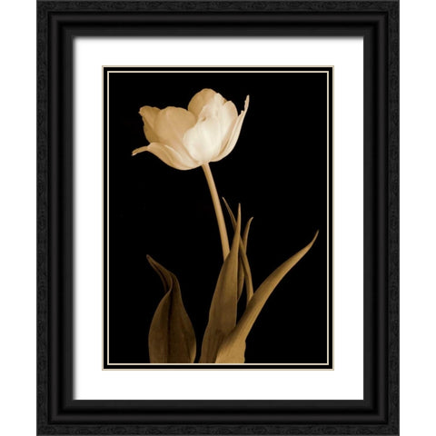 Splendid Beauty Black Ornate Wood Framed Art Print with Double Matting by Britt, Charles